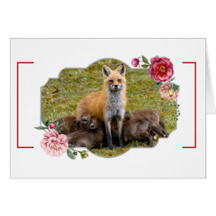 Happy Mother's Day, Foxes