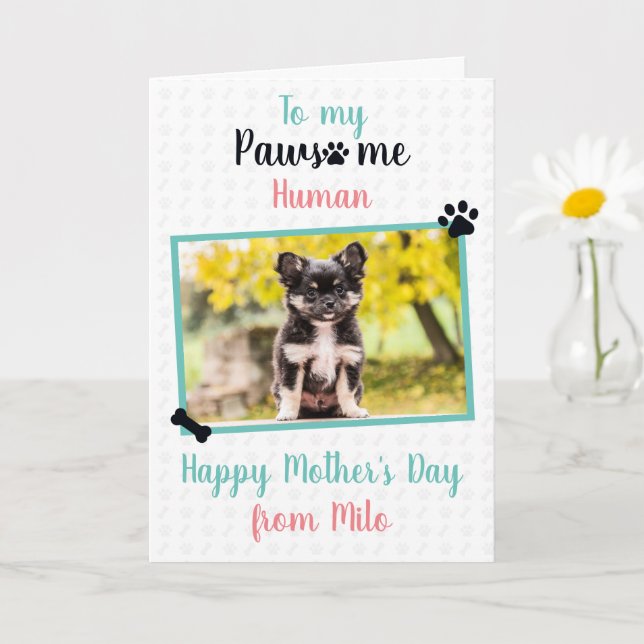 Happy Mother's Day from Dog to Pawsome Mom Card (Small Plant)