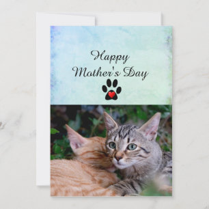 Happy Mother's Day From Your Cats Flat Card