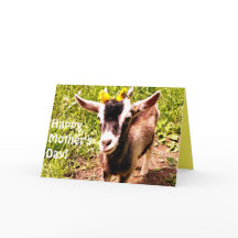 Happy Mother's Day From Your Favourite Kid (Goat)