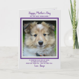 Happy Mother's Day - Funny Cute Dog Mom - Pet Phot Thank You Card