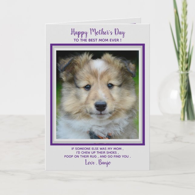 Happy Mother's Day- Funny Cute Dog Mom - Pet Photo Thank You Card (Front)