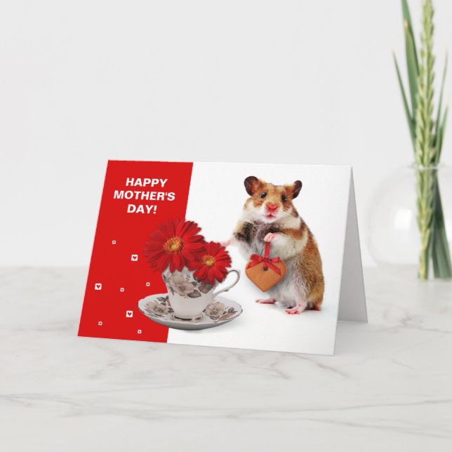 Happy Mother's Day. Funny Hamster Cards (Front)