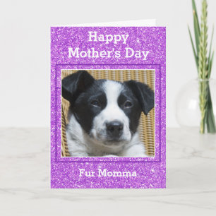 Happy Mother's Day Girly Glitter Custom Pet Photo Card