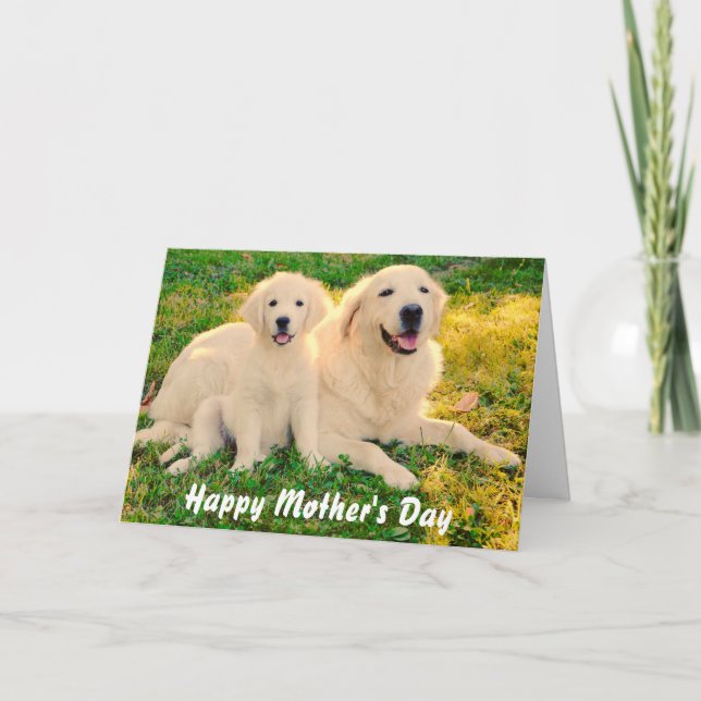 Happy Mother's Day Golden Retriever Dogs Animal Card (Front)