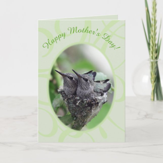 Happy Mother's Day | Hummingbirds in Nest Photo |  Holiday Card (Front)