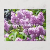 Happy Mother's Day-Lilac Bush