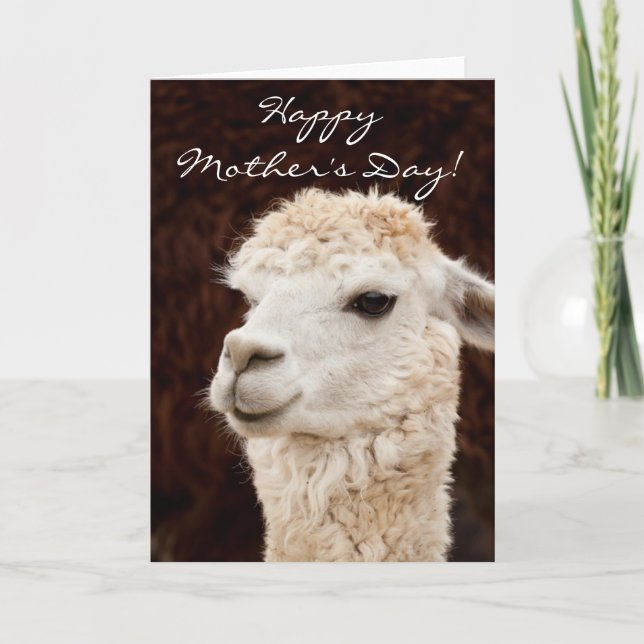 Happy Mother's Day llama greeting card (Front)