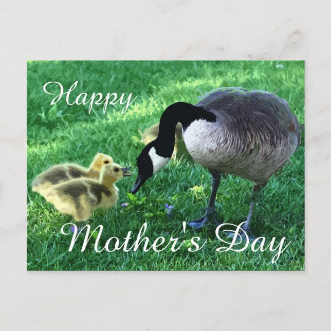 Happy Mother's Day - Mother Goose Postcard (Front)