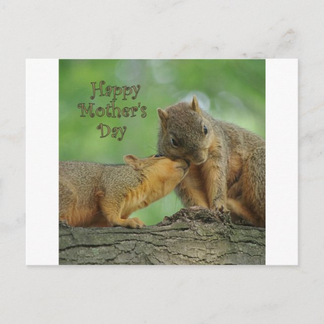 Happy Mother's Day - Mum and Baby Squirrel Postcard (Front)