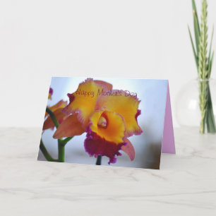 Happy Mother's Day Orange, Violet Cattleya Orchid Card
