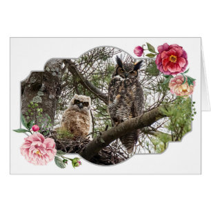 Happy Mother's Day, Owls