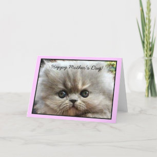 Happy Mother's Day Persian Kitten greeting card