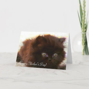 Happy Mother's Day persian kitten greeting card