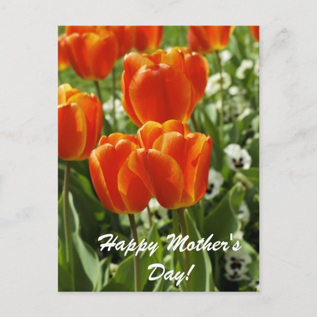 Happy Mother's Day Postcard (Front)