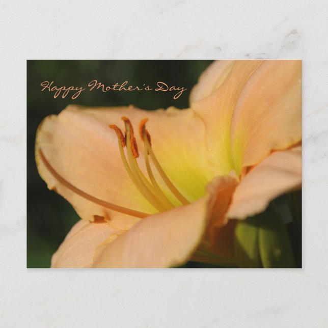Happy Mother's Day postcard (Front)