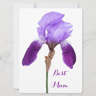 Happy Mother's Day pretty purple iris floral 4 mom Holiday Card