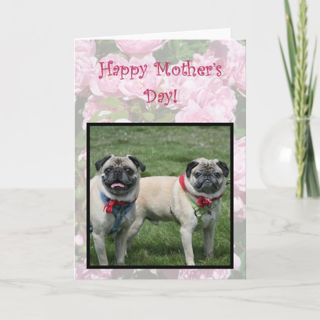 Happy Mother's day pugs greeting card (Front)
