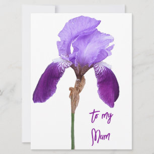 Happy Mother's Day purple iris floral cute    Holiday Card