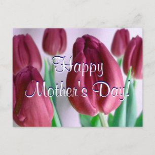 Happy Mother's Day Rosey Tulips Postcard