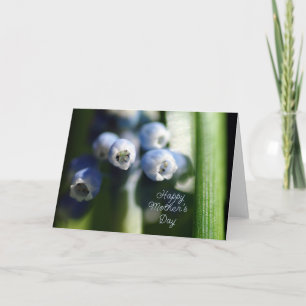 Happy Mother's Day - Spring Bud Card
