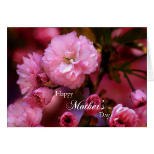 Happy Mothers Day Spring Pink Cherry Blossoms