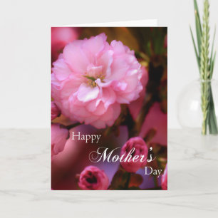 Happy Mothers Day Spring Pink Cherry Blossoms Card