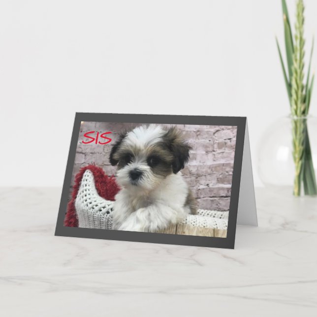 HAPPY *MOTHER'S DAY* TO A ****SPECIAL SISTER!**** CARD (Front)