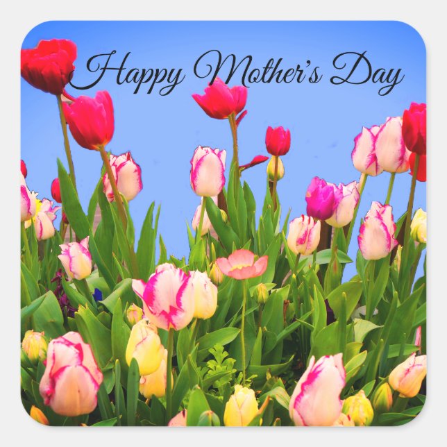 Happy Mother's Day Various Tulips #3 Stickers (Front)