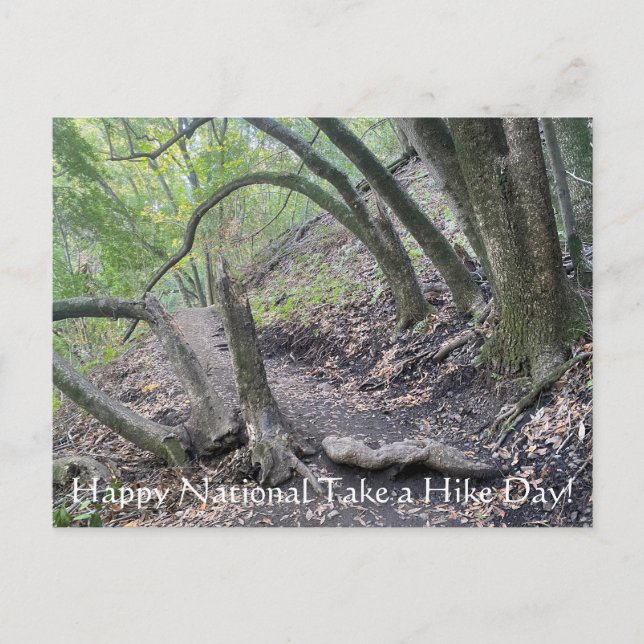Happy National Take a Hike Day! Postcard (Front)