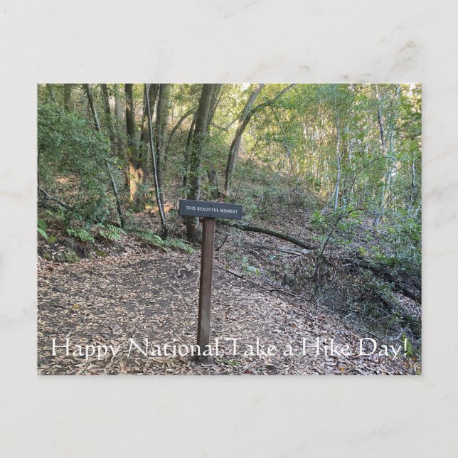 Happy National Take a Hike Day! Postcard (Front)