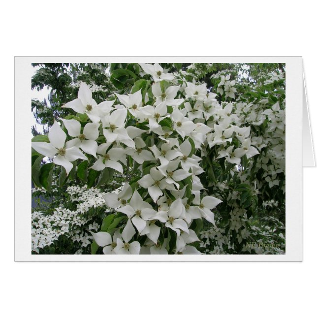 Happy New Life Together (Front Horizontal)