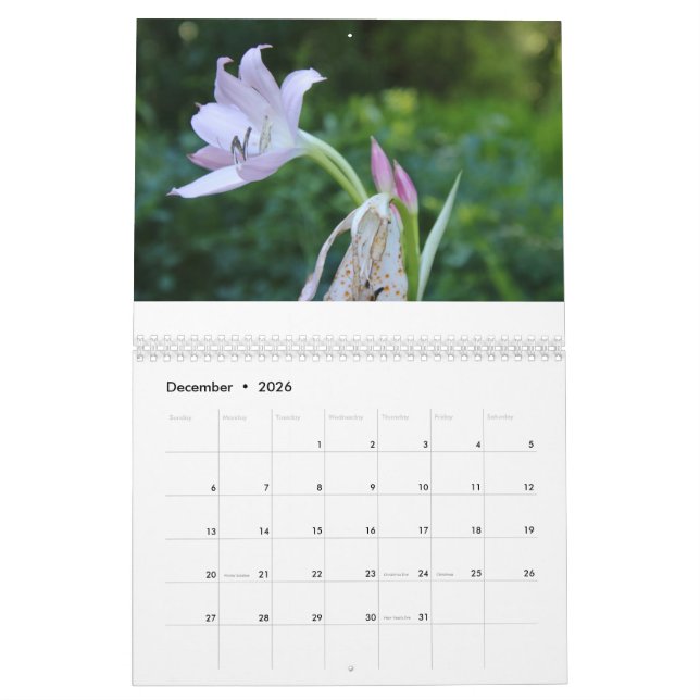 Happy New Year Calendar Year 2025 (Dec 2026)