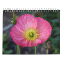 Happy New Year Calendar Year 2025