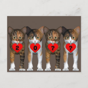 Happy New Year Calico Kitten Postcard