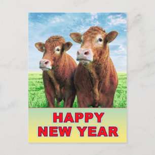 Happy New Year Postcard