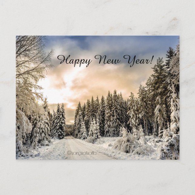 Happy New Year! Postcard (Front)