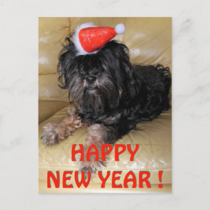 Happy new year !, postcard