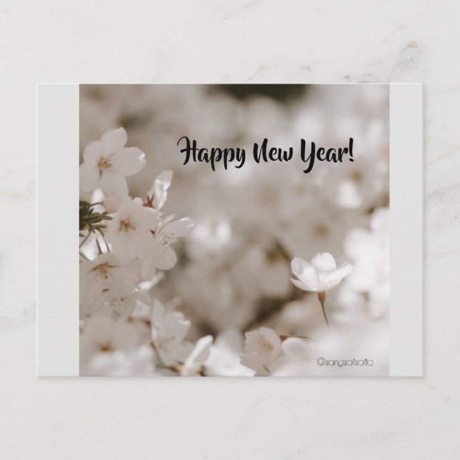 Happy New Year! Postcard (Front)