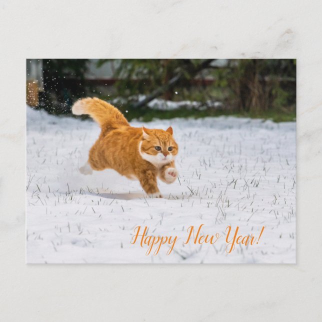 Happy New Year PostCard from Cute Ginger Cat (Front)