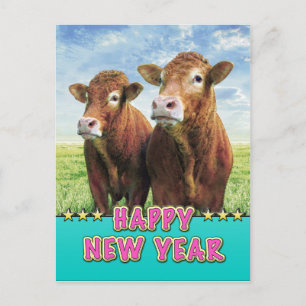 HAPPY NEW YEAR with the cow boys Holiday Postcard