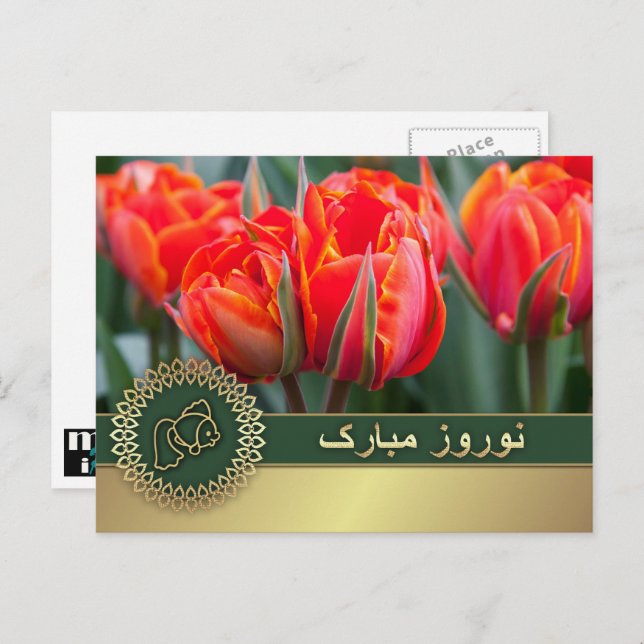 Happy Nowruz. Persian New Year  Holiday Postcard (Front/Back)