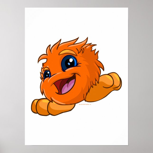 Happy orange JubJub Poster (Front)