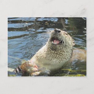Happy Otter Postcard