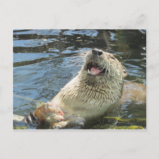 Happy Otter Postcard