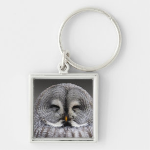 Happy owl key ring