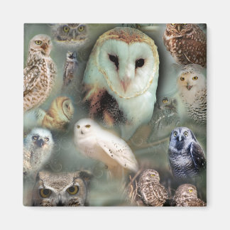 Happy Owls Magnet