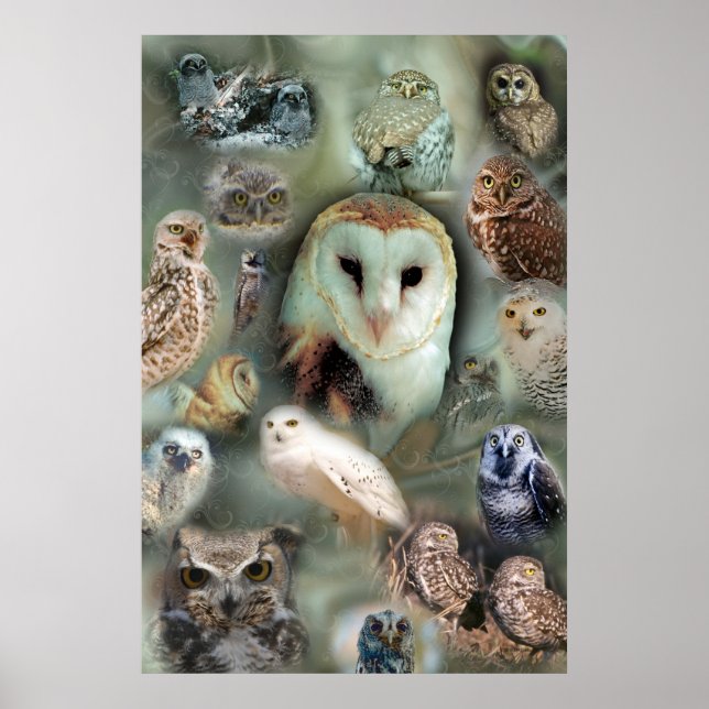 Happy Owls poster print (Front)