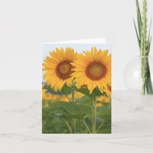 Happy Pair of Sunflowers Note Card (Front)