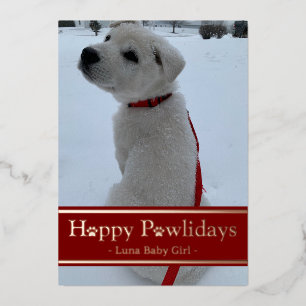 Happy Pawlidays